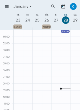 Screenshot of Android Calendar showing a tiny bar at midnight which is the event.